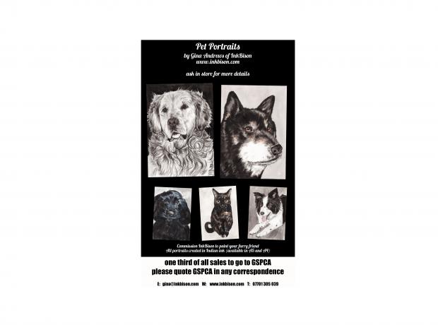 Pet Portraits by Gina Andrews Helping raise funds for the GSPCA